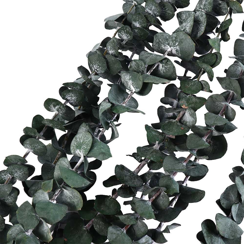 Eucalyptus Preserved - 10 Pcs Real Leaves Hanging Dried
