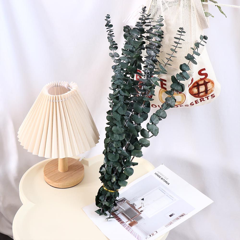 10 Pcs Real Leaves Hanging Dri - Eucalyptus Preserved 评论和价格