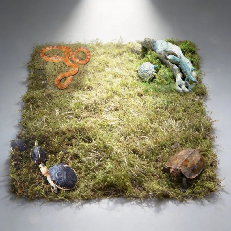 Natural Dried Moss Reptile Ter - Preserved Moss Sheet 评论和价格