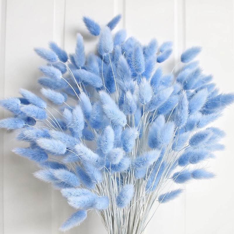 100PCS Blue Hare's-tail Grass  - Florist Supply Vases 评论和价格