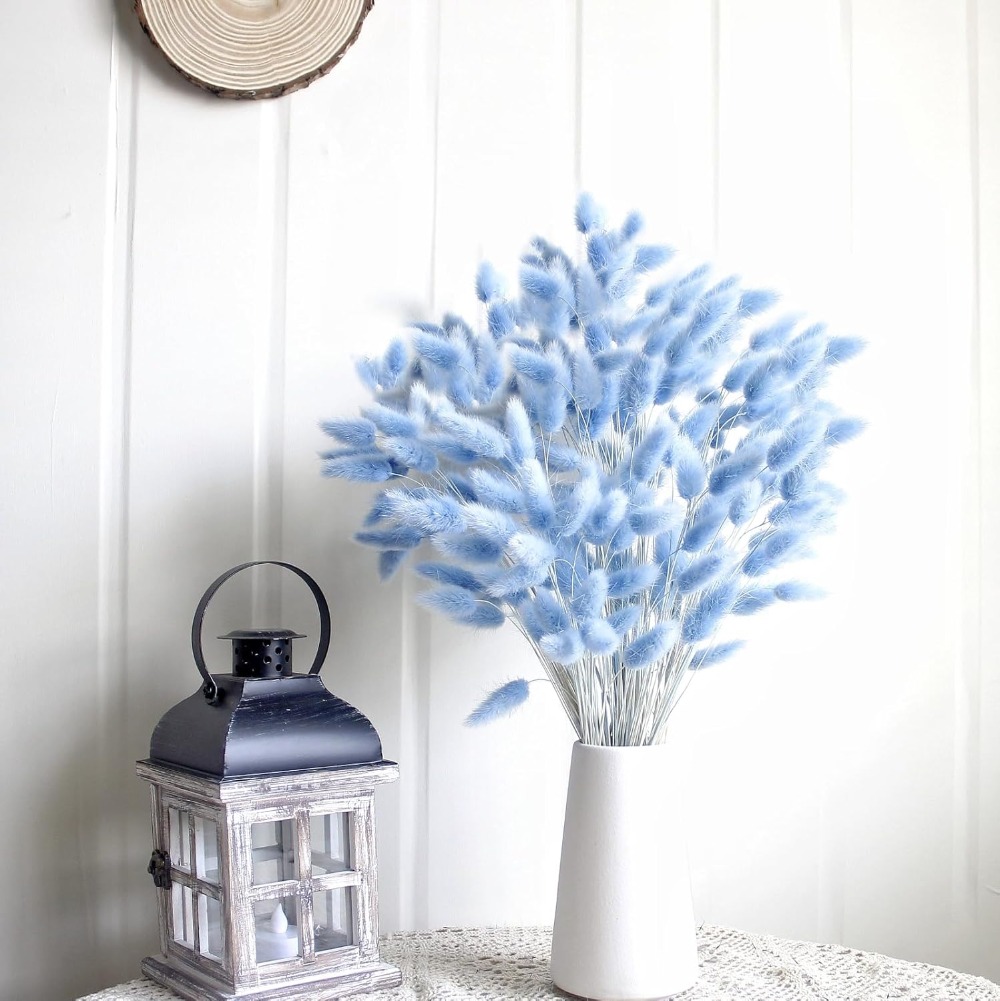 100PCS Blue Hare's-tail Grass  - Florist Supply Vases 评论和价格