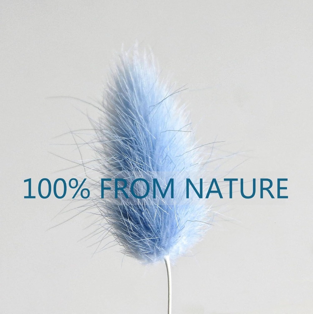 100PCS Blue Hare's-tail Grass  - Florist Supply Vases 评论和价格
